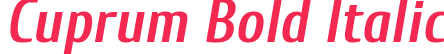 Cuprum Bold Italic